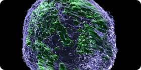 Изготовление белков на заказ