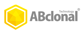 ABClonal